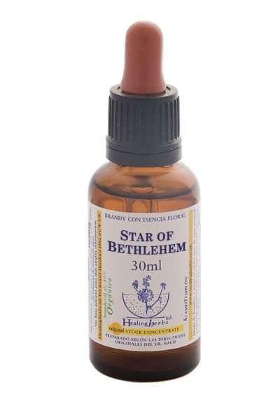 Healing Herbs Star of Bethlehem 30ml