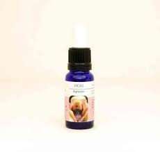 Esencia de Orquídea Agresión 15ml