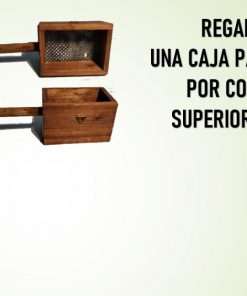 Producto regalo Caja para moxas