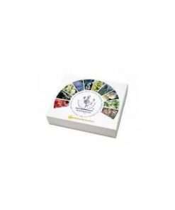 Kit 40 esencias Healing Herbs 10 ml. Estuche de Tela